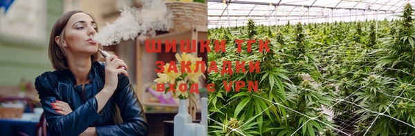 ПСИЛОЦИБИНОВЫЕ ГРИБЫ Ельня