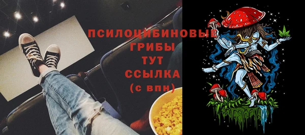 apvp Зуевка