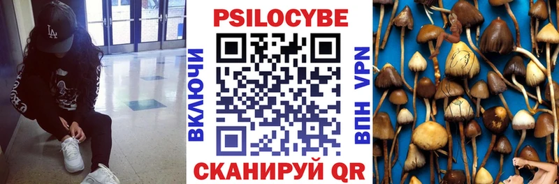 Галлюциногенные грибы Psilocybe  ссылка на мегу ONION  Ивдель  магазин   